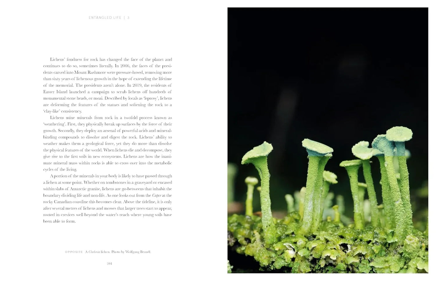 Entangled Life: The Illustrated Edition