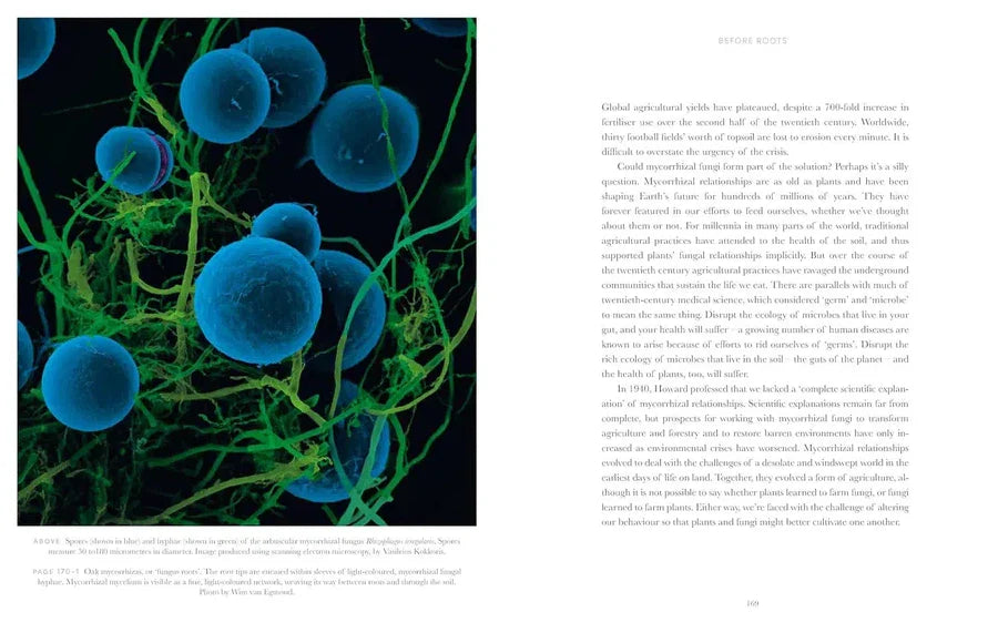 Entangled Life: The Illustrated Edition