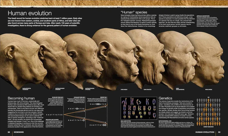 Evolution-Mathematics and Science-買書書 BuyBookBook