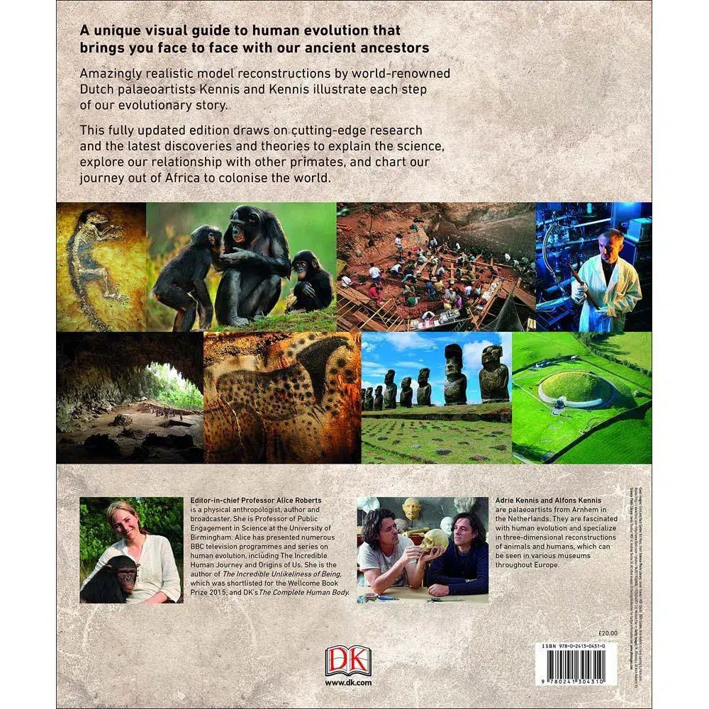 Evolution - The Human Story (Hardback) DK UK