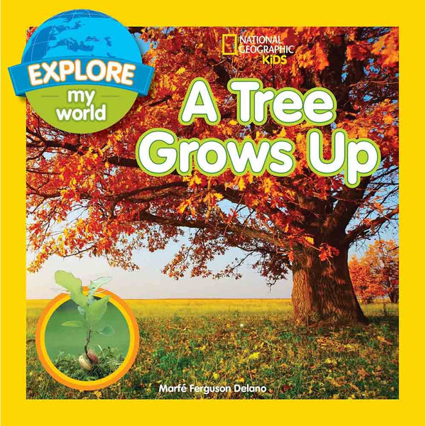 NGK Explore My World A Tree Grows Up - 買書書 BuyBookBook