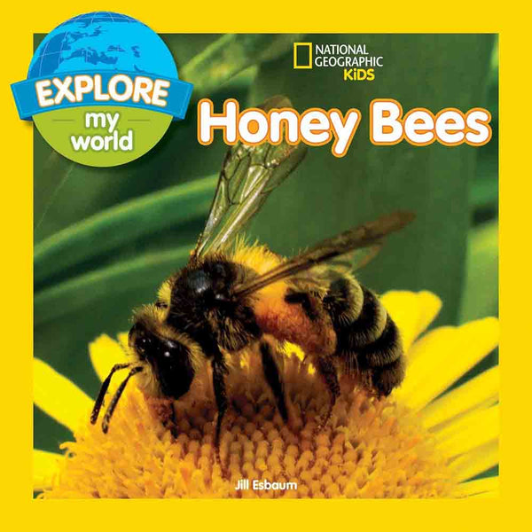 NGK Explore My World Honey Bees - 買書書 BuyBookBook