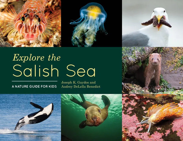 Explore the Salish Sea-Children’s / Teenage general interest: Nature and animals-買書書 BuyBookBook