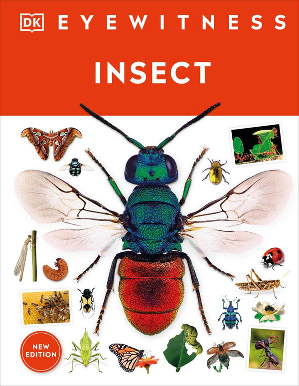 Eyewitness Insect-Children’s / Teenage general interest: Insects, spiders, minibeasts-買書書 BuyBookBook