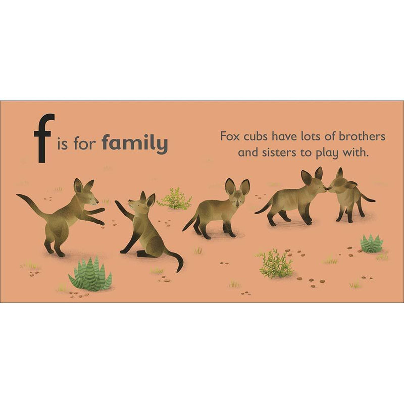 F is for Fox (Board book) DK UK