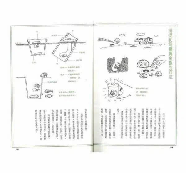 法布爾昆蟲記 (全套8冊)-非故事: 動物植物 Animal & Plant-買書書 BuyBookBook