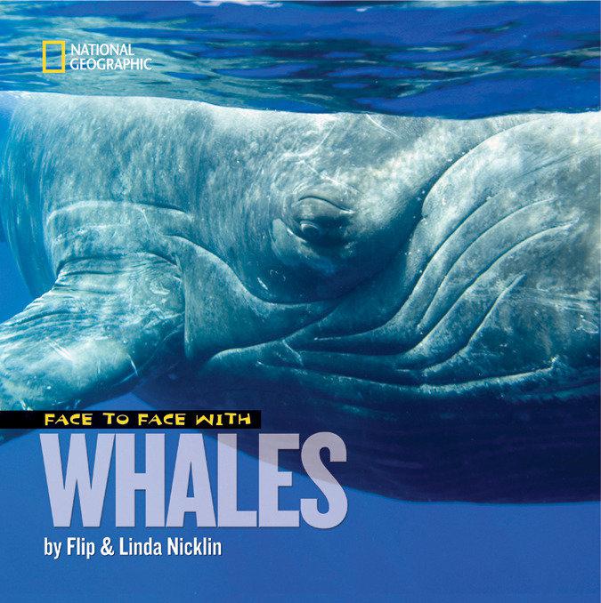 Face to Face With Whales-Children’s / Teenage general interest: Nature and animals-買書書 BuyBookBook