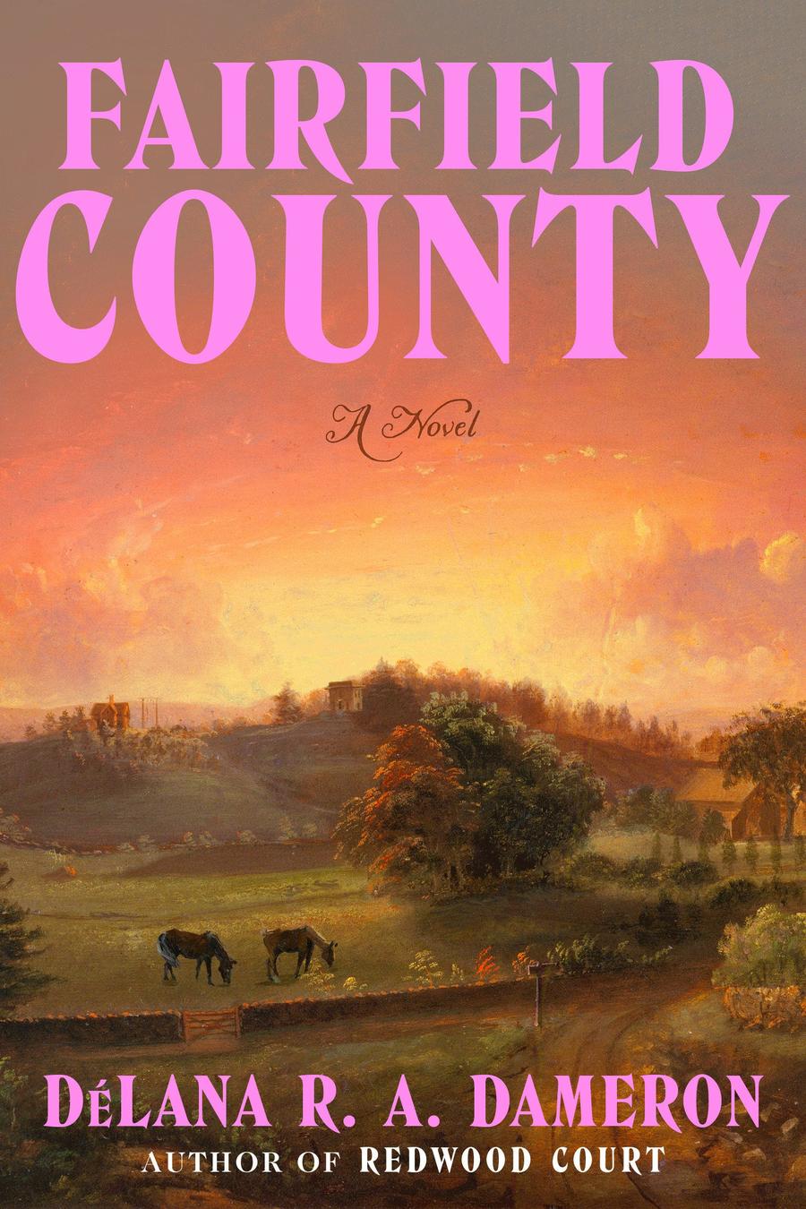 Fairfield County-Fiction: general and literary-買書書 BuyBookBook