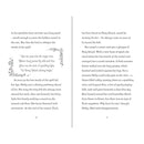 Fairy Ponies Unicorn Prince (Zanna Davidson) Usborne