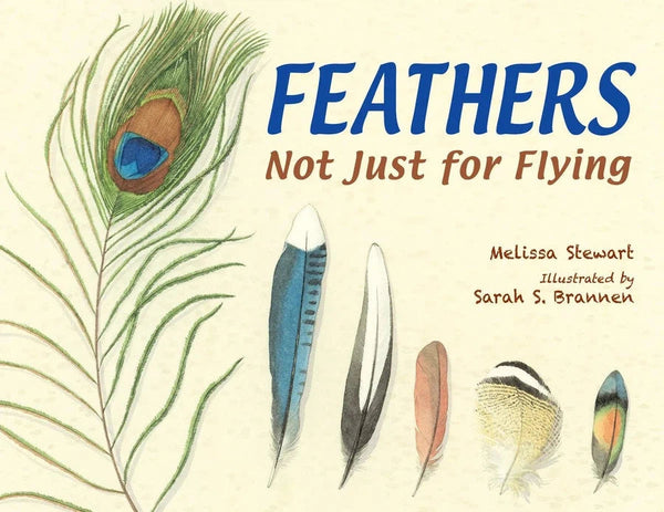 Feathers-Children’s / Teenage general interest: Nature and animals-買書書 BuyBookBook