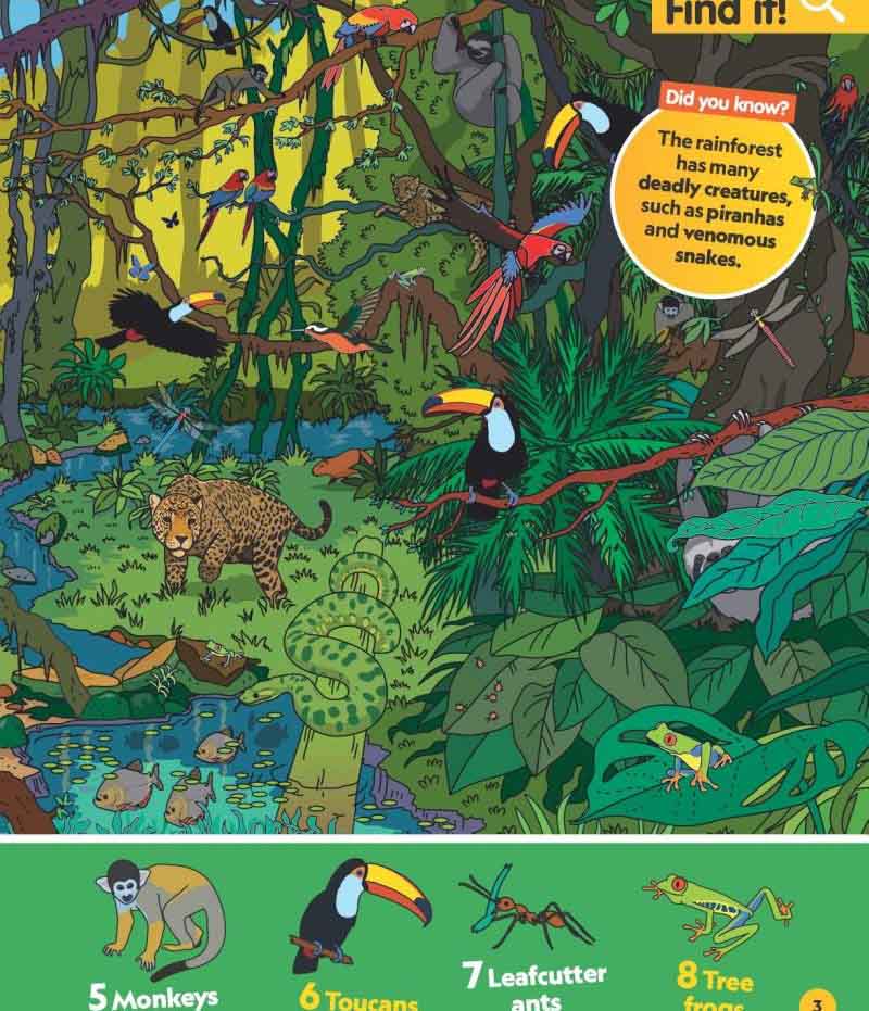 Find It! Explore It! Animals (National Geographic Kids)-Nonfiction: 動物植物 Animal & Plant-買書書 BuyBookBook