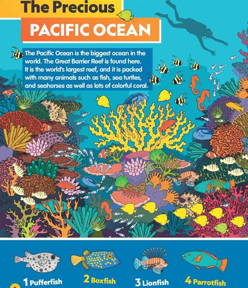 Find It! Explore It! Ocean (National Geographic Kids)-Nonfiction: 動物植物 Animal & Plant-買書書 BuyBookBook