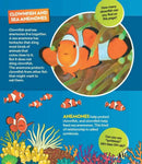 Find It! Explore It! Ocean (National Geographic Kids)-Nonfiction: 動物植物 Animal & Plant-買書書 BuyBookBook