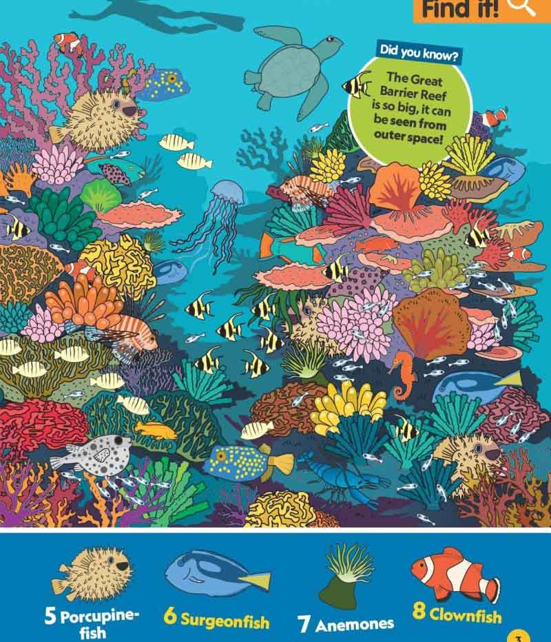 Find It! Explore It! Ocean (National Geographic Kids)-Nonfiction: 動物植物 Animal & Plant-買書書 BuyBookBook