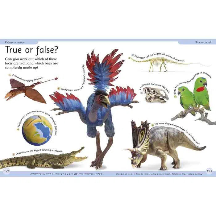 First Dinosaur Encyclopedia DK UK