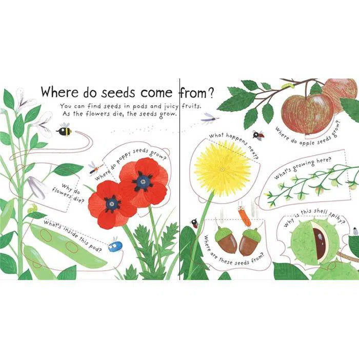 First Questions and Answers How do flowers grow? Usborne