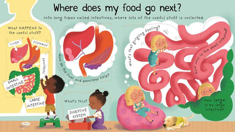 First Questions and Answers : Where does my food go? - 買書書 BuyBookBook