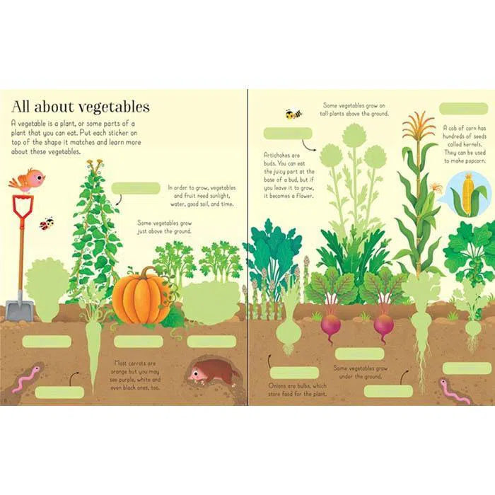 First Sticker Book Fruit and Vegetables Usborne