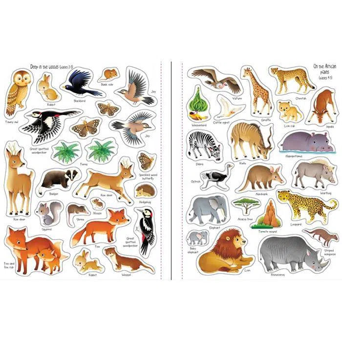 First Sticker Book Nature Usborne