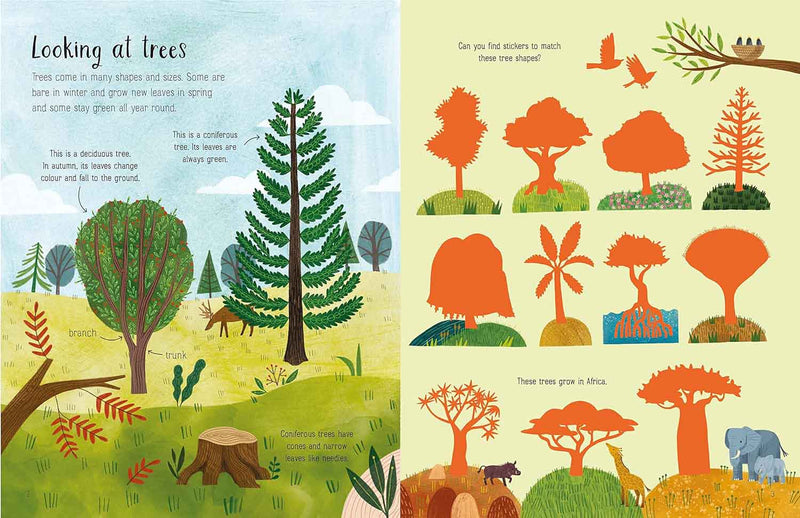 First Sticker Book Trees (Usborne) (Jane Bingham)-Activity: 繪畫貼紙 Drawing & Sticker-買書書 BuyBookBook