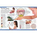 First Human Body Encyclopedia (Paperback) DK UK