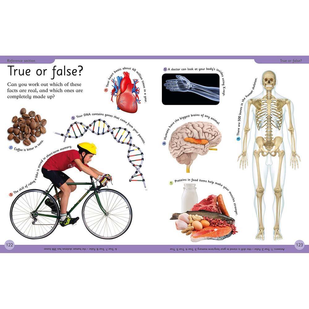 First Human Body Encyclopedia (Paperback) DK UK