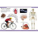 First Human Body Encyclopedia (Paperback) DK UK