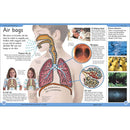 First Human Body Encyclopedia (Paperback) DK UK