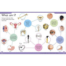 First Human Body Encyclopedia (Paperback) DK UK