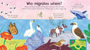 First Questions and Answers : Where Do Animals Go in Winter?-Nonfiction: 學前基礎 Preschool Basics-買書書 BuyBookBook