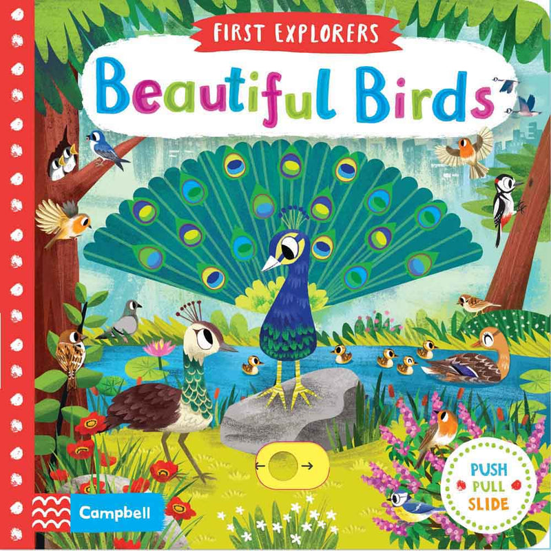 First Explorers - Beautiful Birds - 買書書 BuyBookBook