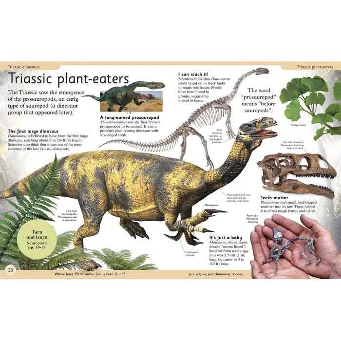 First Dinosaur Encyclopedia DK UK