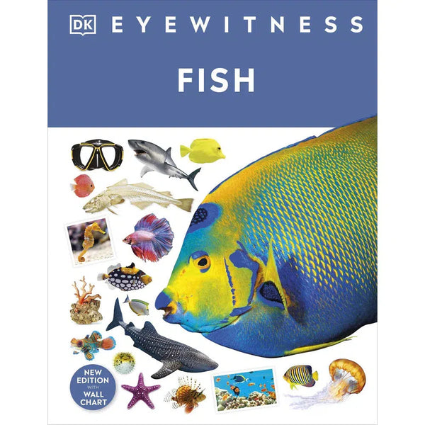 Fish (DK)-Nonfiction: 動物植物 Animal & Plant-買書書 BuyBookBook