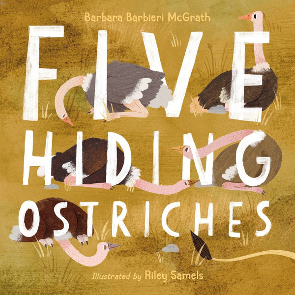 Five Hiding Ostriches-Children’s / Teenage fiction: Nature and animal stories-買書書 BuyBookBook