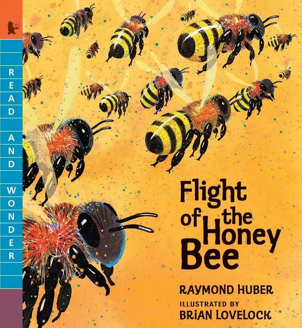 Flight of the Honey Bee-Children’s / Teenage general interest: Nature and animals-買書書 BuyBookBook