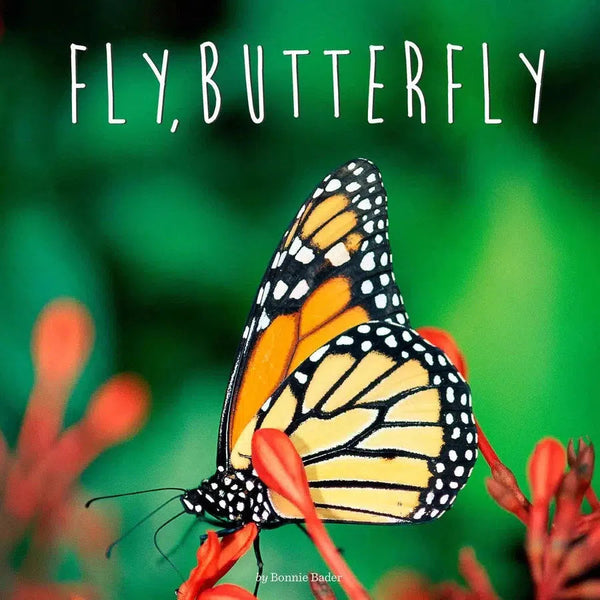 Fly, Butterfly-Children’s / Teenage general interest: Nature and animals-買書書 BuyBookBook