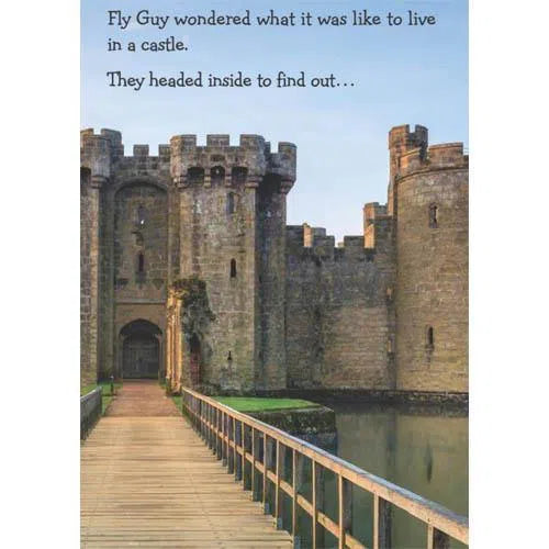 Fly Guy Presents Castles (Tedd Arnold) Scholastic