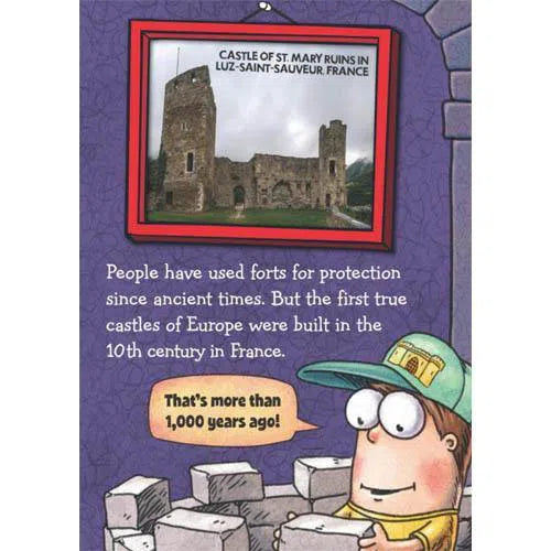 Fly Guy Presents Castles (Tedd Arnold) Scholastic