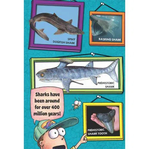 Fly Guy Presents Sharks (Tedd Arnold) Scholastic