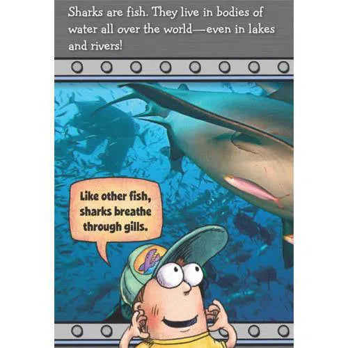 Fly Guy Presents Sharks (Tedd Arnold) Scholastic