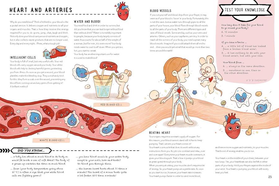 Fold-Out Atlas of the Human Body