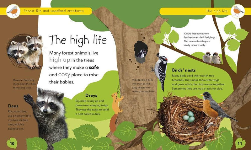 Forest Life and Woodland Creatures-Children’s picture books-買書書 BuyBookBook