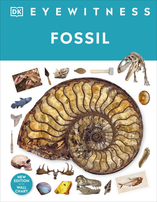 Fossil-Children’s / Teenage general interest: Nature and animals-買書書 BuyBookBook