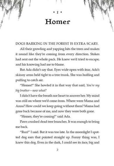 Freewater (Winner of the John Newbery Medal 2023)-Fiction: 劇情故事 General-買書書 BuyBookBook