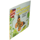 From Caterpillar to Butterfly (Let's-Read-and-Find-Out L1) (Paperback) Harpercollins US