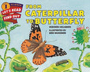 From Caterpillar to Butterfly (Let's-Read-and-Find-Out L1) (Paperback) Harpercollins US