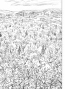 Fuzzy Mud (Louis Sachar)-Fiction: 劇情故事 General-買書書 BuyBookBook