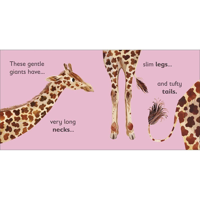 G is for Giraffe (Board book) DK UK