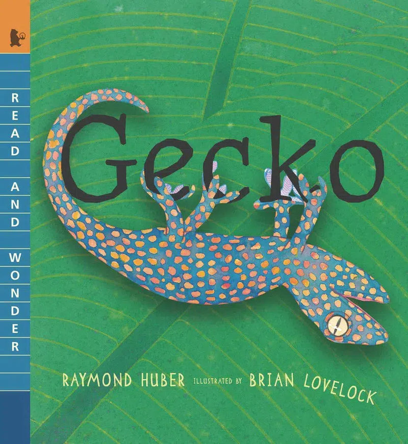 Gecko-Children’s / Teenage general interest: Nature and animals-買書書 BuyBookBook