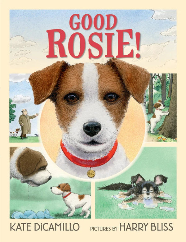 Good Rosie!-Children’s / Teenage fiction: Nature and animal stories-買書書 BuyBookBook